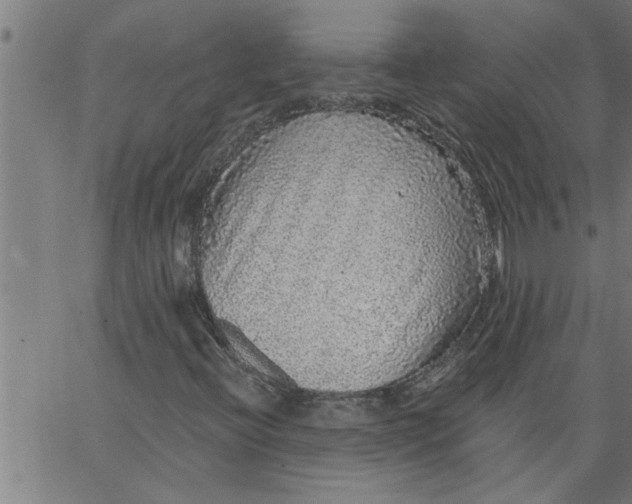 X0000066531396200603311808