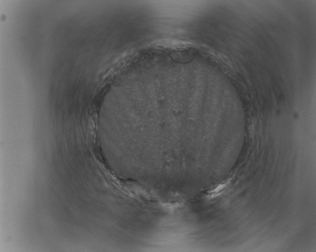 X0000066531397200603311808