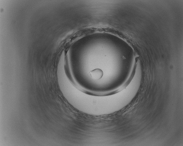 X0000066531398200603311808