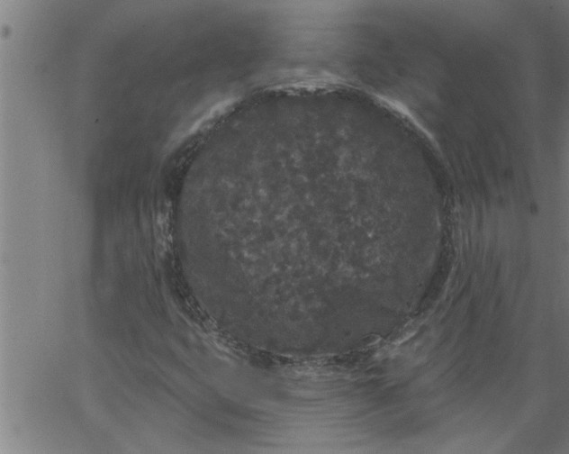 X0000066531399200603311808