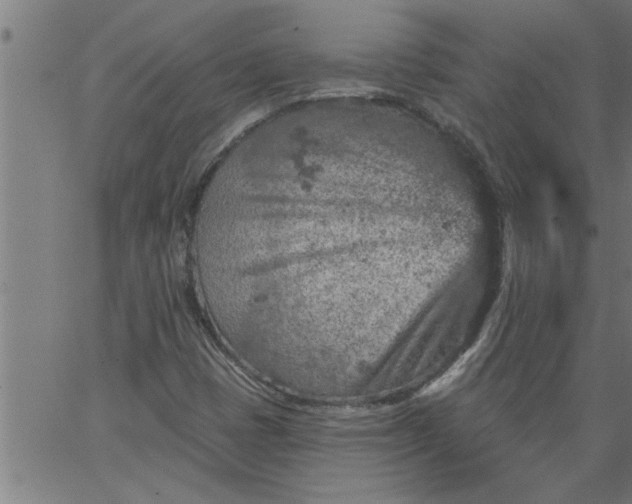 X0000066531401200603311808