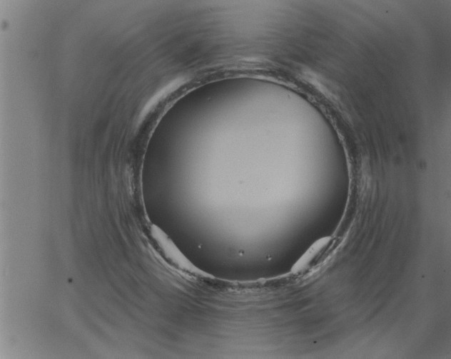 X0000066531402200603311808