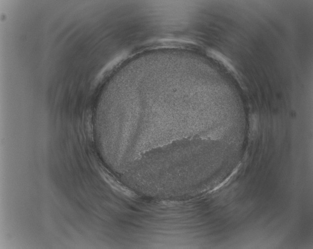 X0000066531403200603311808