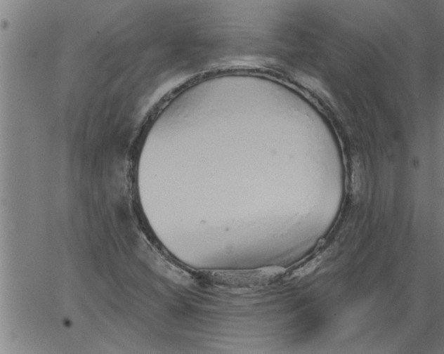 X0000066531404200603311808