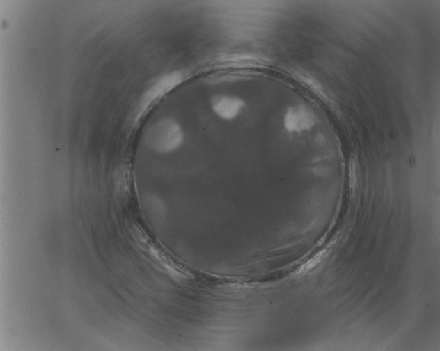 X0000066531405200603311808