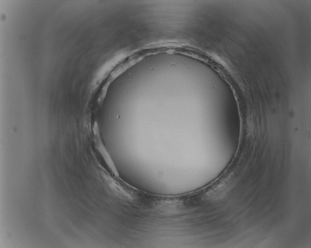 X0000066531406200603311808