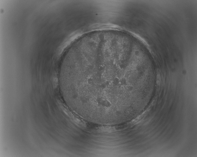 X0000066531407200603311808