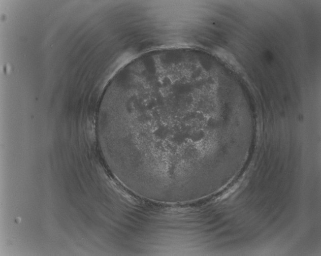 X0000066531409200603311808