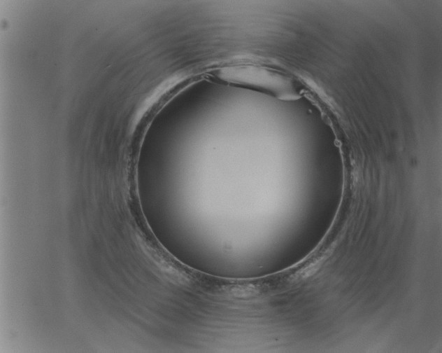 X0000066531410200603311808