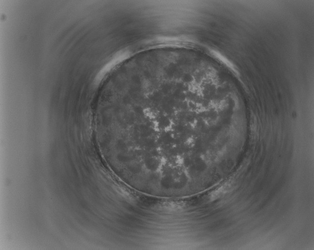 X0000066531411200603311808