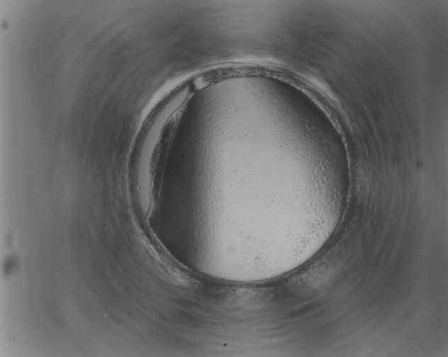 X0000066531412200603311808