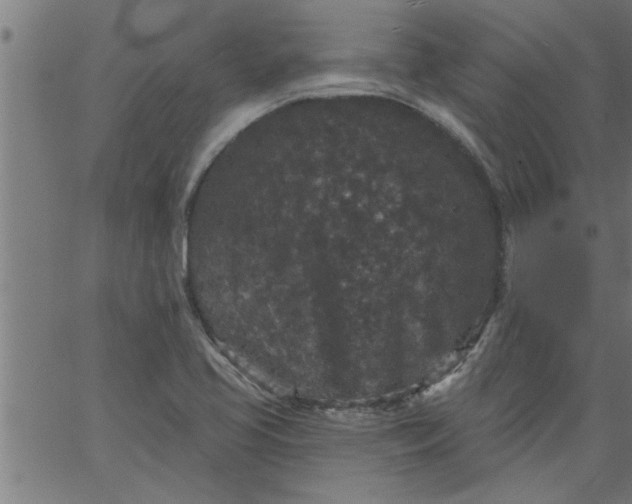 X0000066531413200603311808