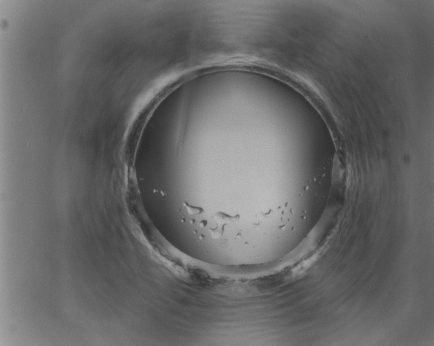 X0000066531414200603311808