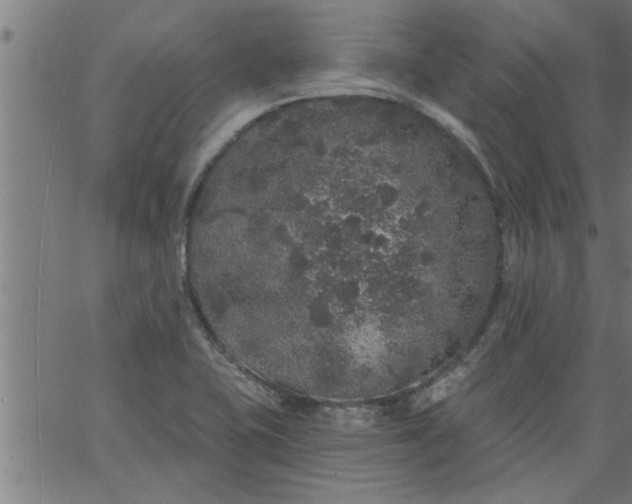 X0000066531415200603311808