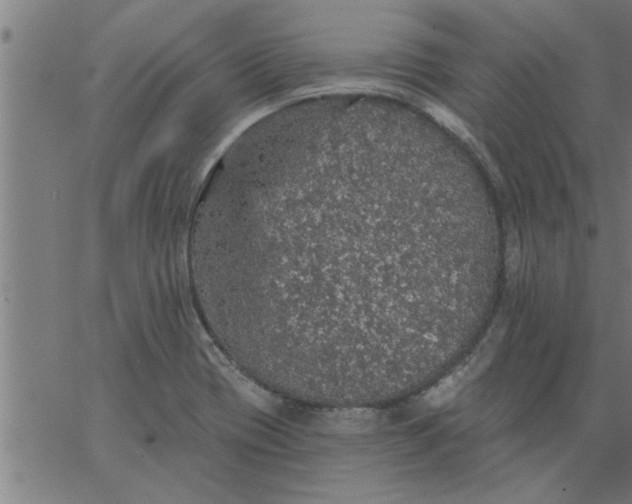 X0000066531417200603311808