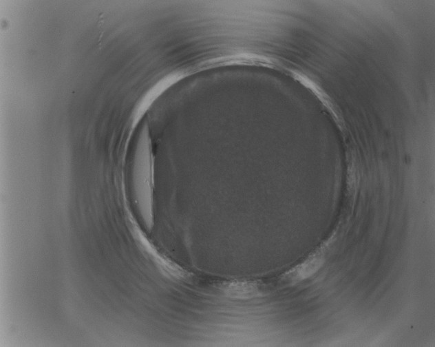 X0000066531418200603311808