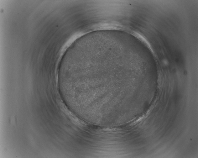 X0000066531419200603311808