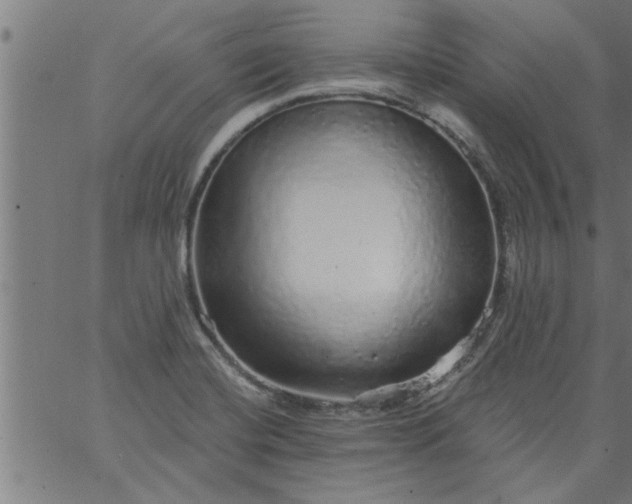 X0000066531420200603311808