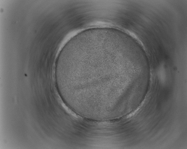 X0000066531421200603311808