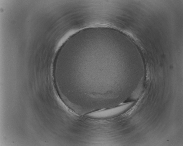 X0000066531422200603311808