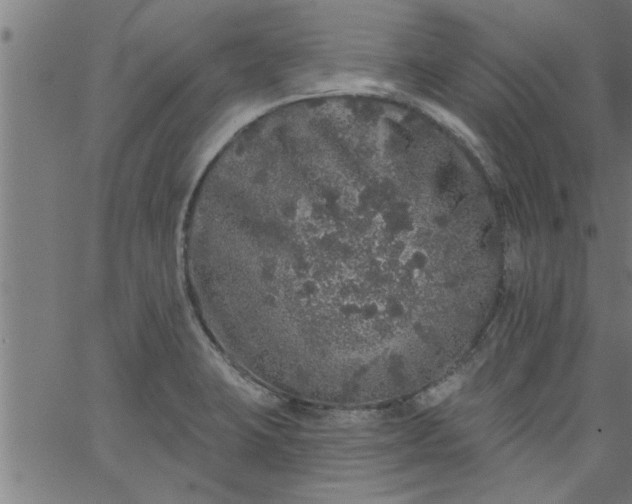 X0000066531423200603311808