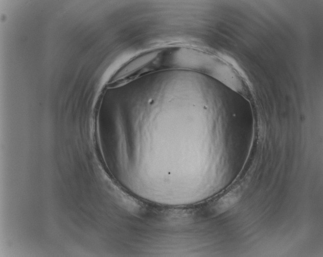 X0000066531424200603311808