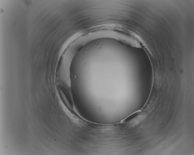 X0000066531426200603311808