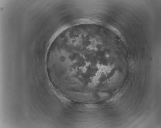 X0000066531427200603311808