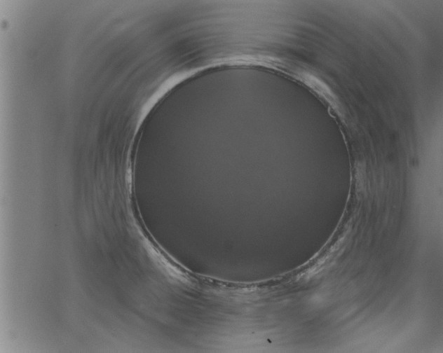 X0000066531428200603311808