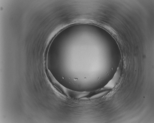 X0000066531430200603311808