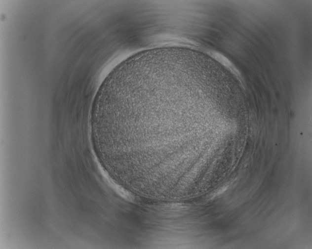 X0000066531431200603311809