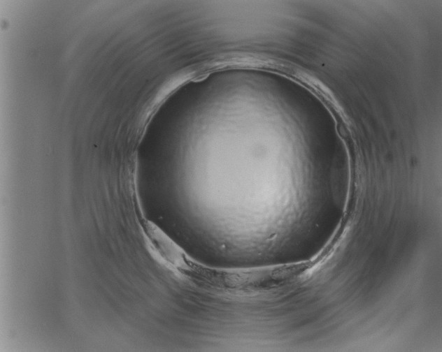 X0000066531433200603311809