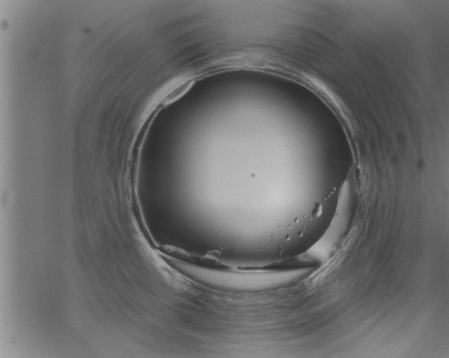 X0000066531434200603311809