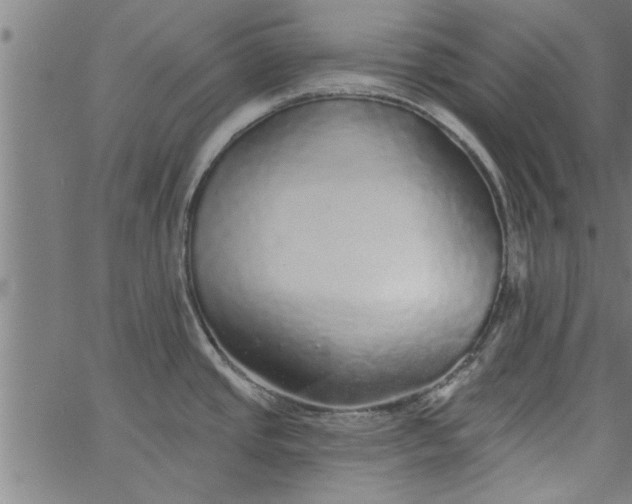 X0000066531437200603311809