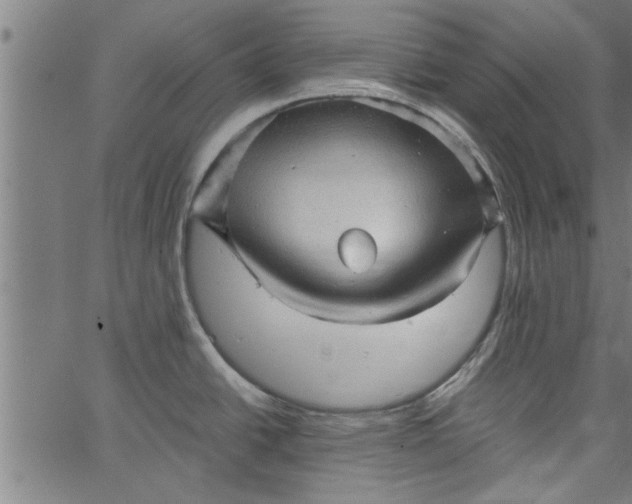 X0000066531438200603311809