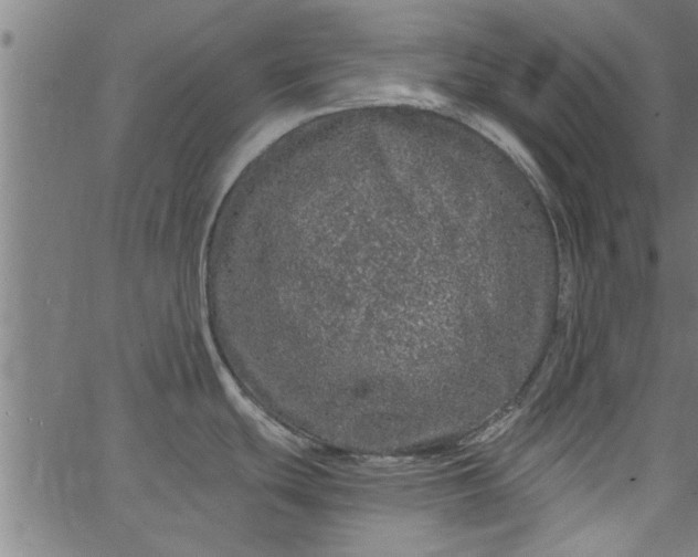 X0000066531439200603311809