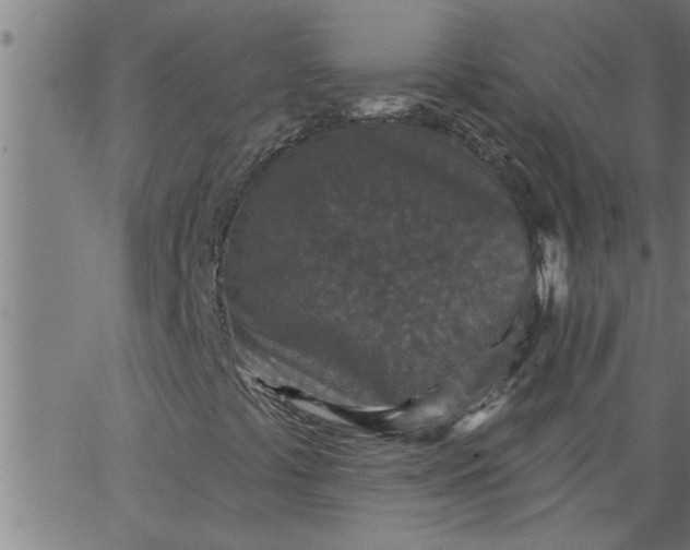 X0000066531441200603311808