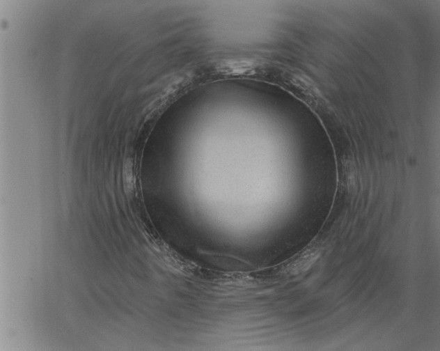 X0000066531442200603311808