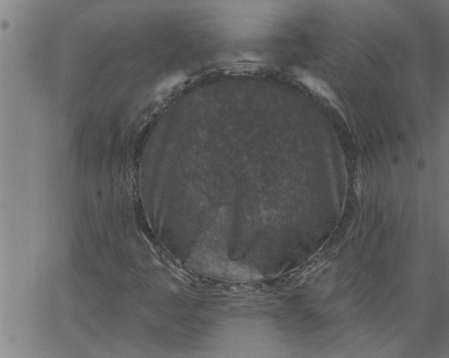 X0000066531445200603311808