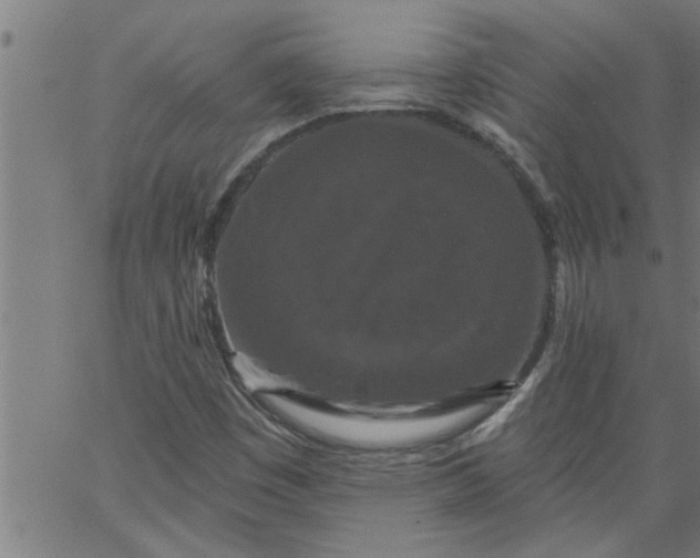 X0000066531449200603311808