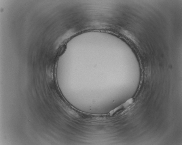 X0000066531451200603311808