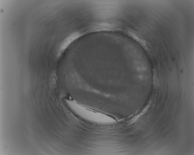 X0000066531453200603311808