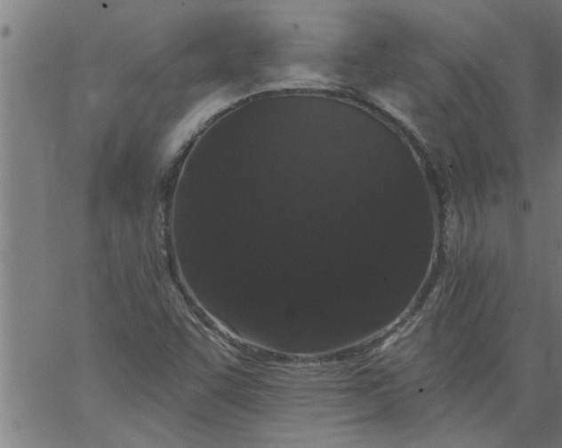 X0000066531455200603311808