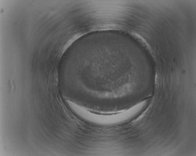 X0000066531457200603311808