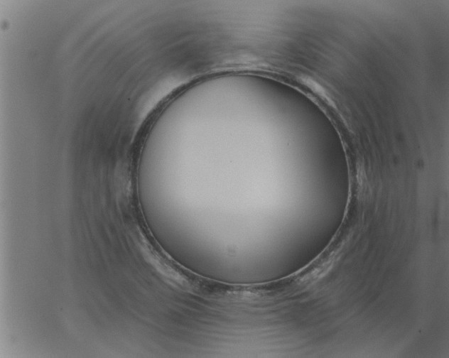 X0000066531458200603311808