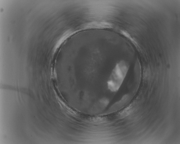 X0000066531459200603311808