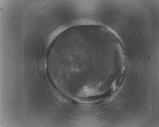 X0000066531461200603311808