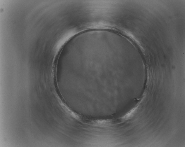 X0000066531463200603311808