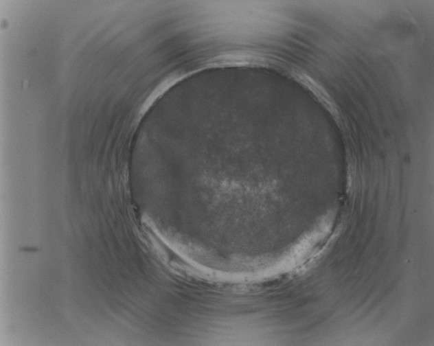 X0000066531465200603311807