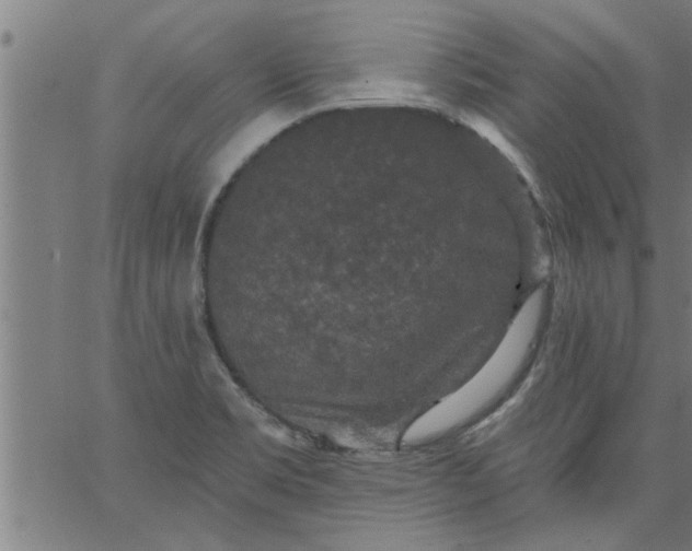 X0000066531469200603311807